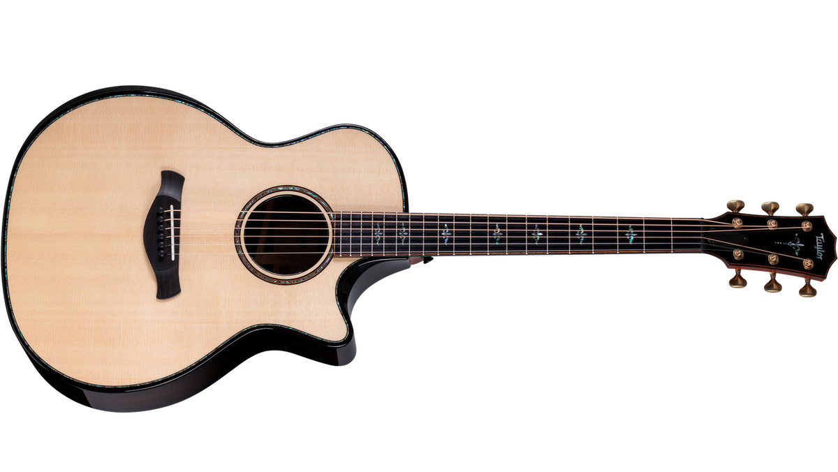 Taylor Next Generation Builder's Edition 914ce Lutz Spruce - Indian Rosewood