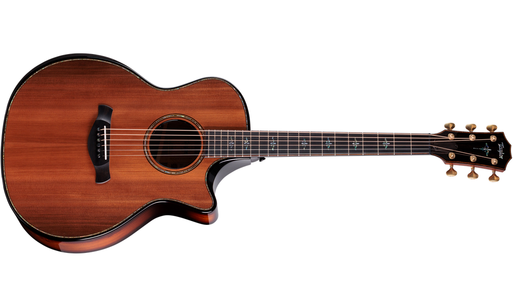Taylor Next Generation Builder's Edition 914ce Honduran Rosewood - Sinker Redwood