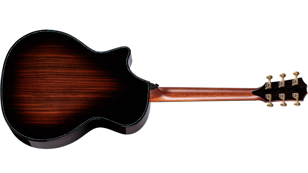 Taylor Next Generation Builder's Edition 914ce Lutz Spruce - Indian Rosewood