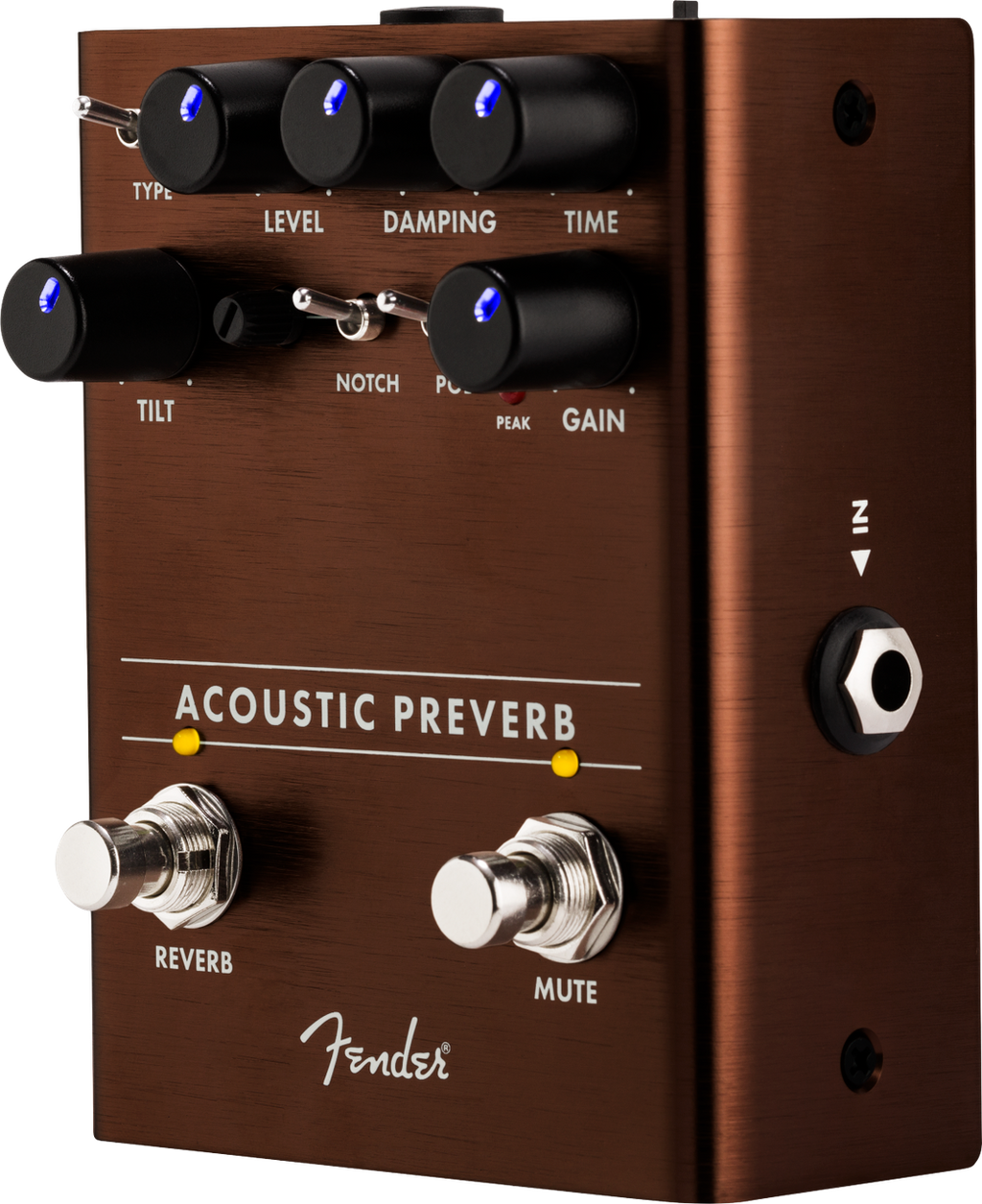 Fender Acoustic Preamp/Reverb