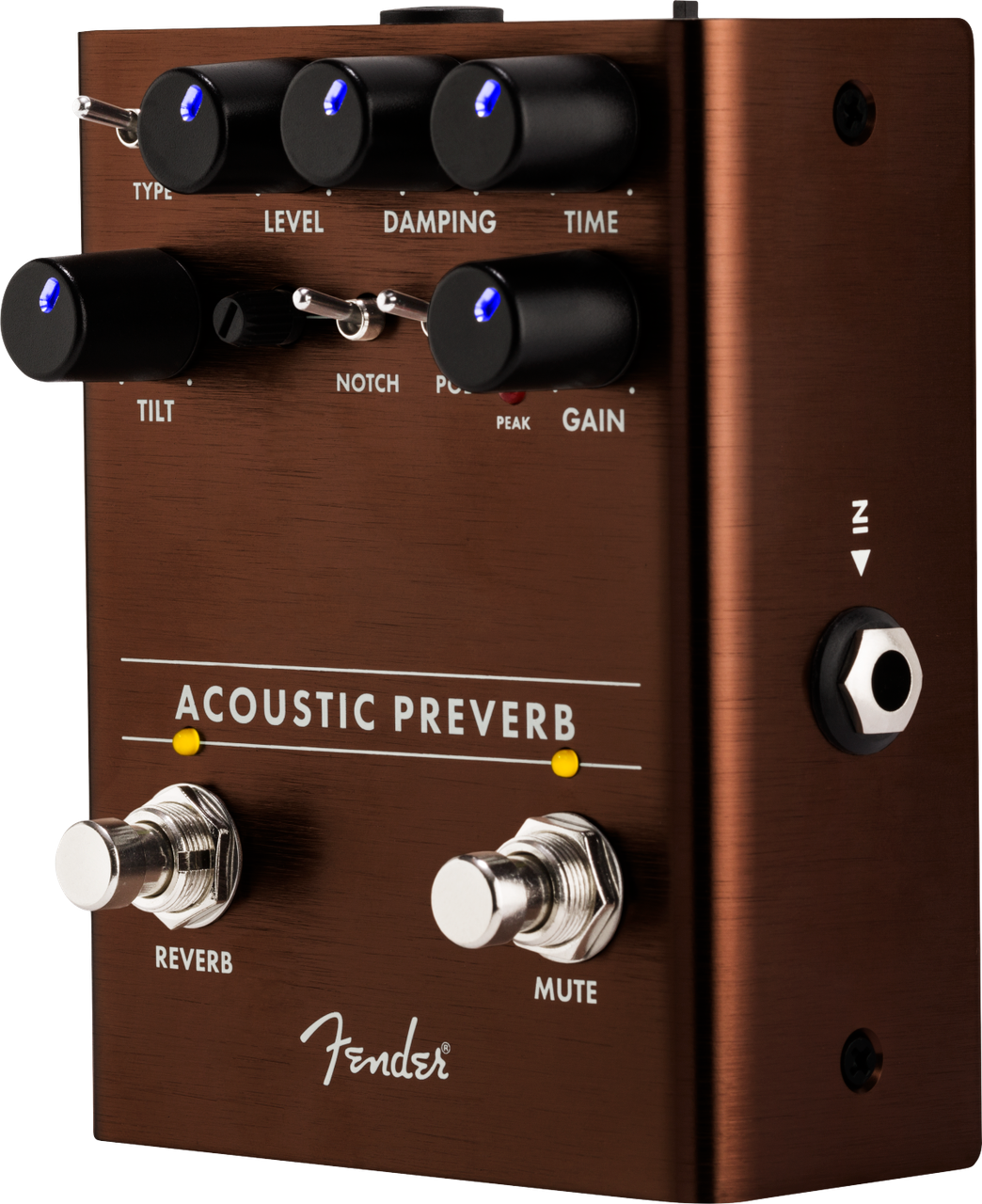 Fender Acoustic Preamp/Reverb