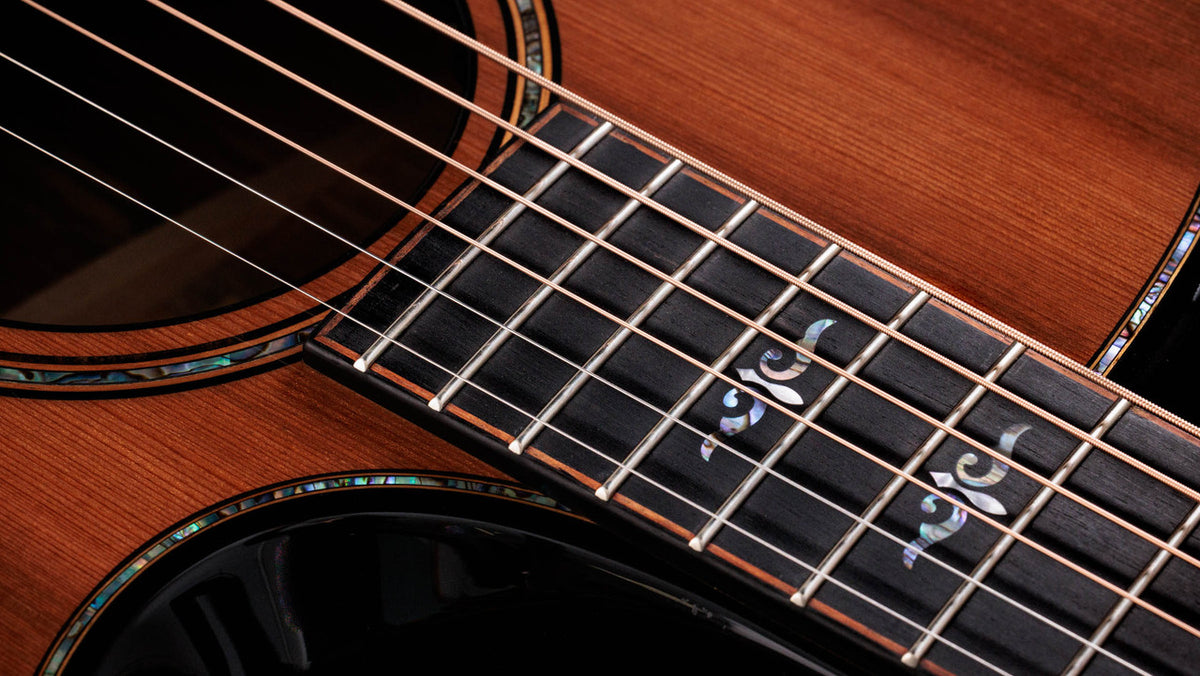 Taylor Next Generation Builder's Edition 914ce Honduran Rosewood - Sinker Redwood