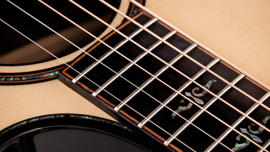 Taylor Next Generation Builder's Edition 914ce Lutz Spruce - Indian Rosewood