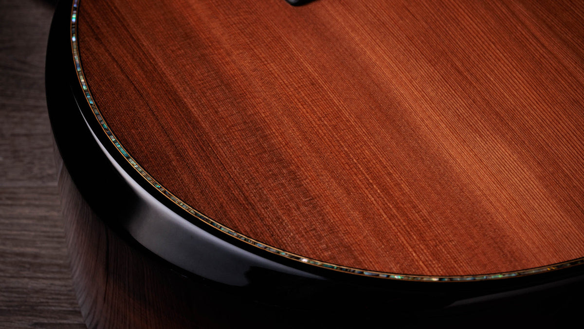 Taylor Next Generation Builder's Edition 914ce Honduran Rosewood - Sinker Redwood