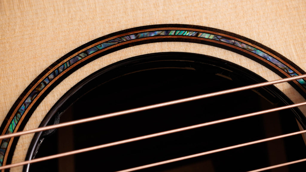 Taylor Next Generation Builder's Edition 914ce Lutz Spruce - Indian Rosewood