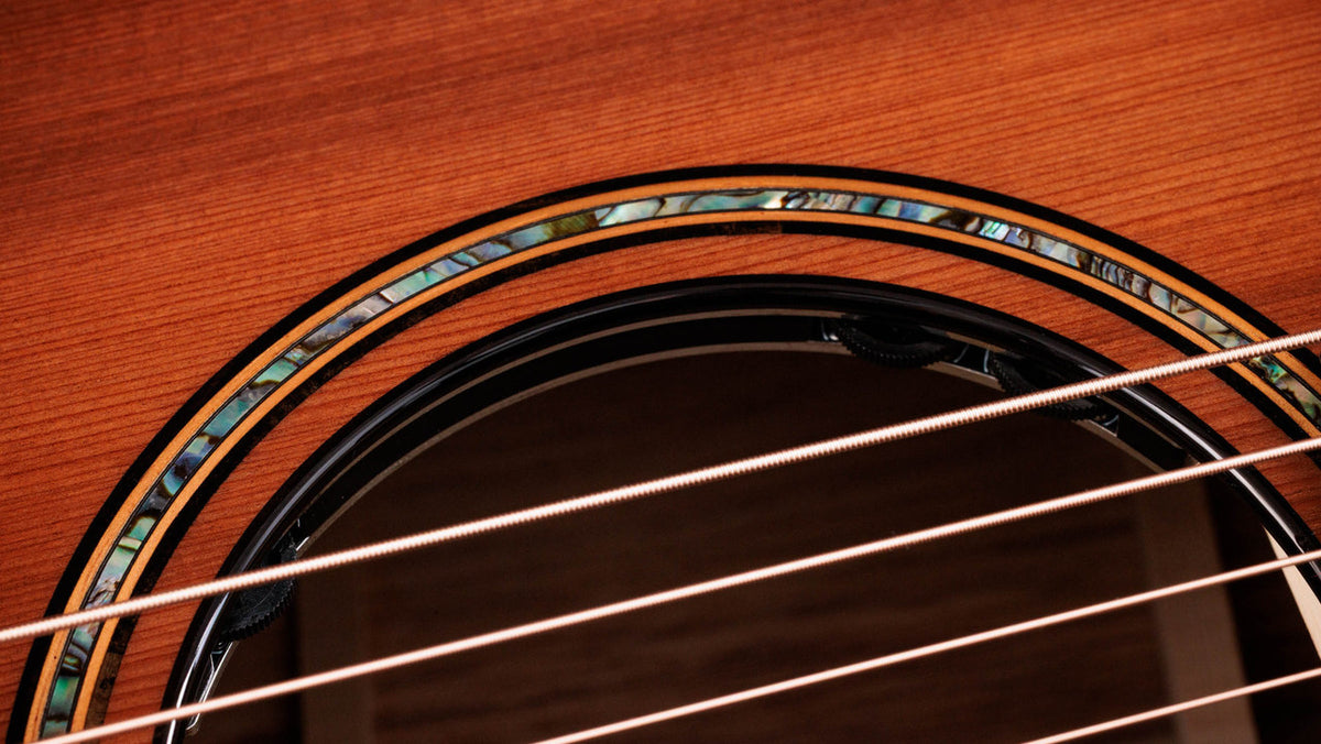 Taylor Next Generation Builder's Edition 914ce Honduran Rosewood - Sinker Redwood