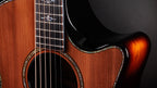 Taylor Next Generation Builder's Edition 914ce Honduran Rosewood - Sinker Redwood