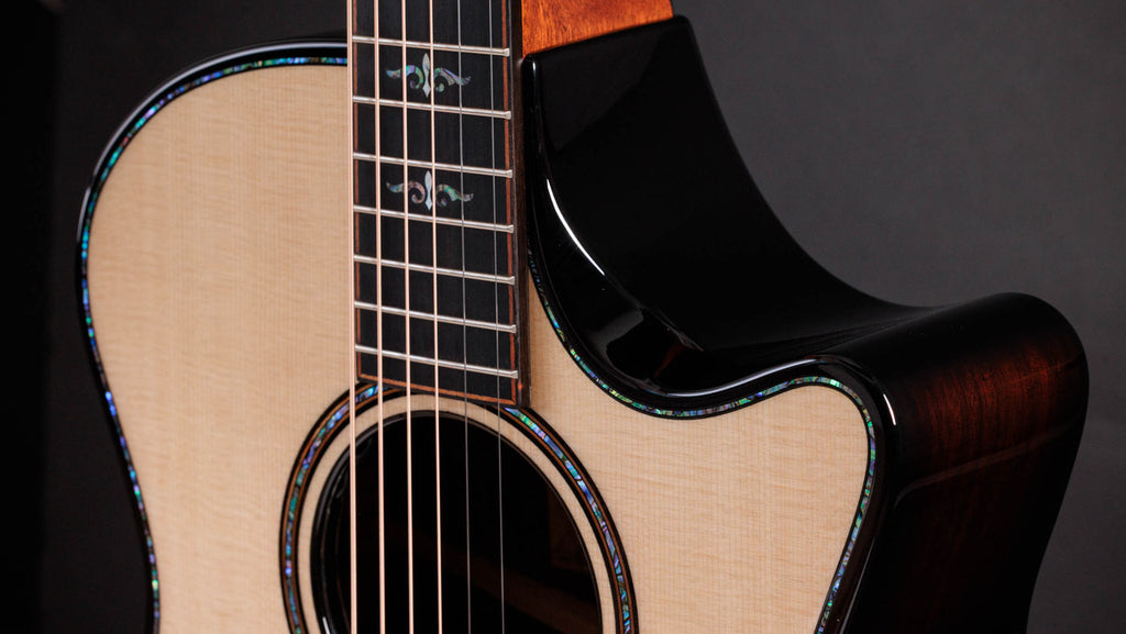 Taylor Next Generation Builder's Edition 914ce Lutz Spruce - Indian Rosewood