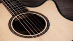Taylor Next Generation Builder's Edition 914ce Lutz Spruce - Indian Rosewood