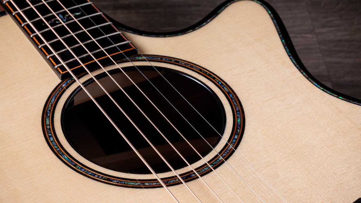Taylor Next Generation Builder's Edition 914ce Lutz Spruce - Indian Rosewood