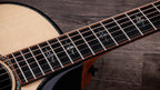 Taylor Next Generation Builder's Edition 914ce Lutz Spruce - Indian Rosewood