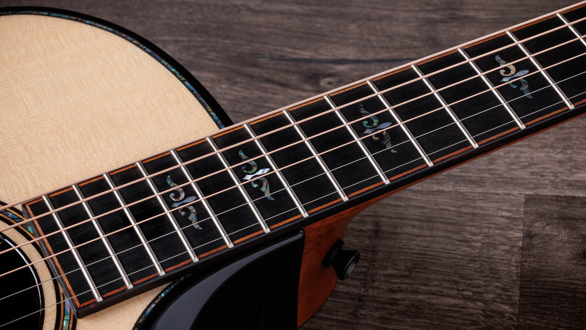 Taylor Next Generation Builder's Edition 914ce Lutz Spruce - Indian Rosewood
