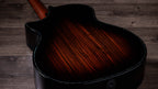 Taylor Next Generation Builder's Edition 914ce Lutz Spruce - Indian Rosewood