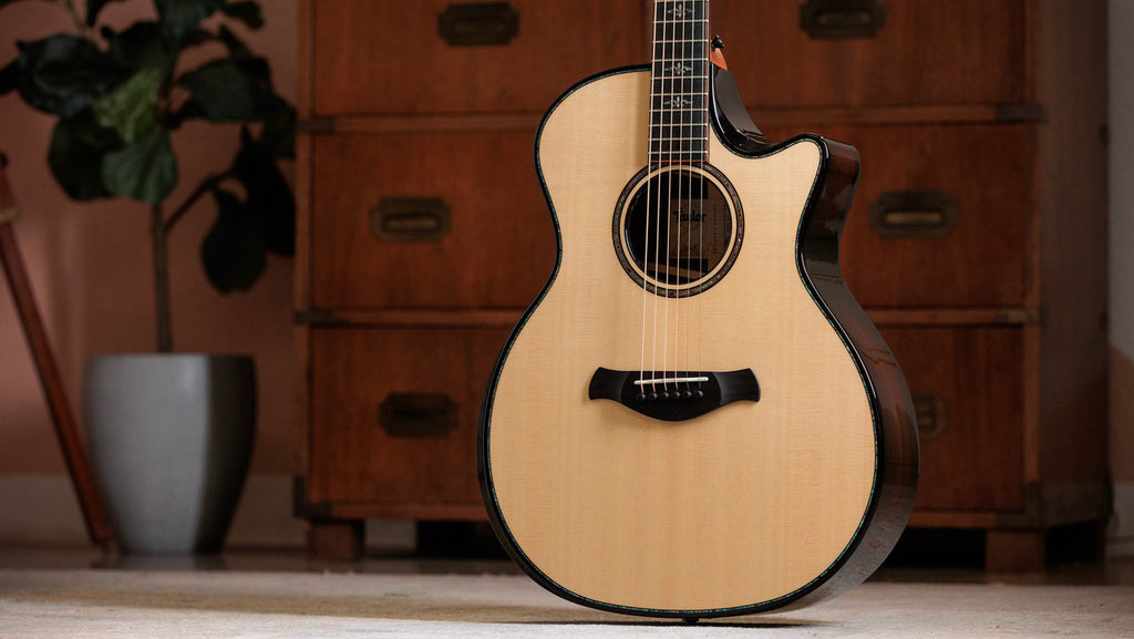 Taylor Next Generation Builder's Edition 914ce Lutz Spruce - Indian Rosewood