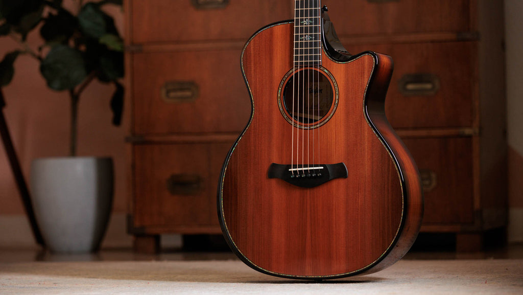 Taylor Next Generation Builder's Edition 914ce Honduran Rosewood - Sinker Redwood