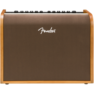 Fender Acoustic 100