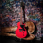 Billie Joe Armstrong Les Paul Junior with its leopard-lined hardshell case