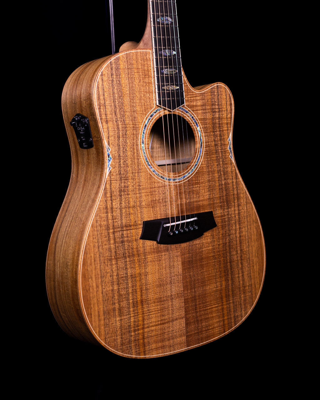 Cole Clark FL3 All Blackwood, Pickup Cutaway #1361
