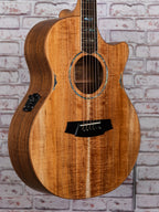  Cole Clark Angel 3 Blackwood Blackwood - AN3EC-BLBL