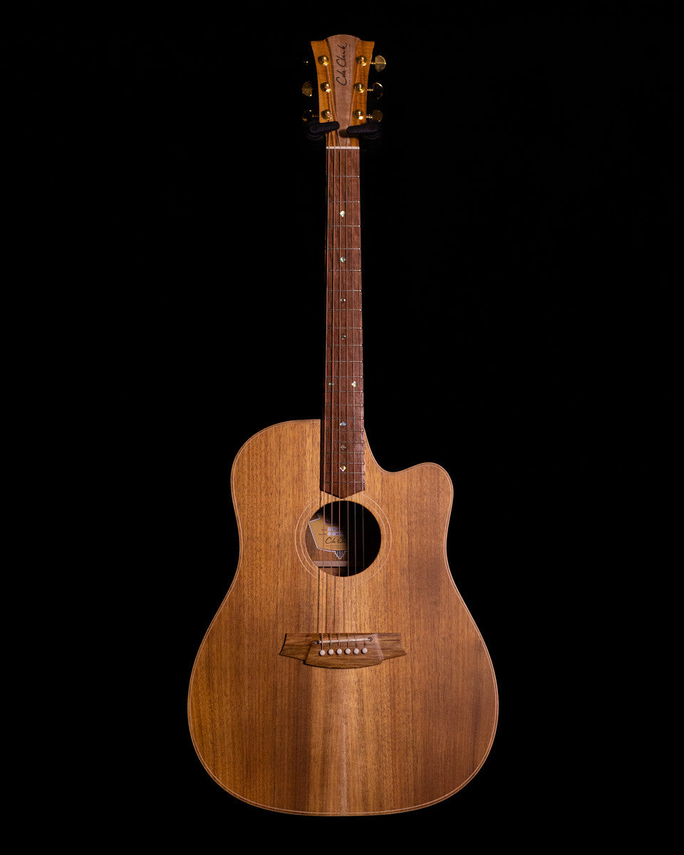 Cole Clark FL2EC-BLBL All Blackwood