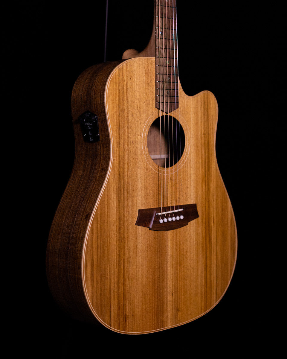 Cole Clark FL2EC-BLBL 9904