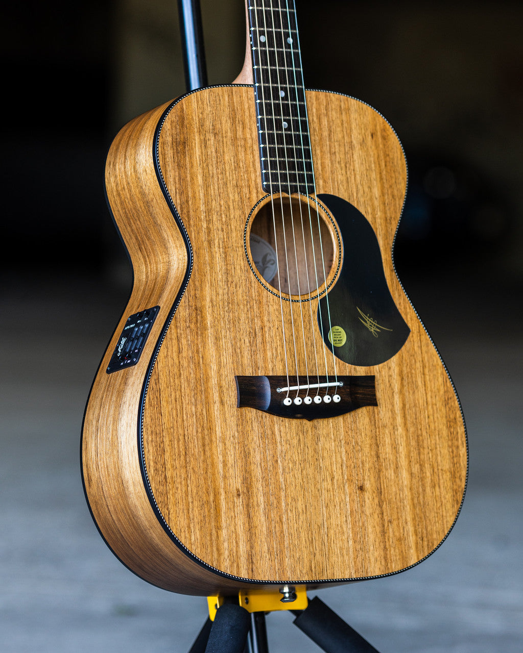 Maton EBW808 Blackwood Acoustic Electric Guitar
