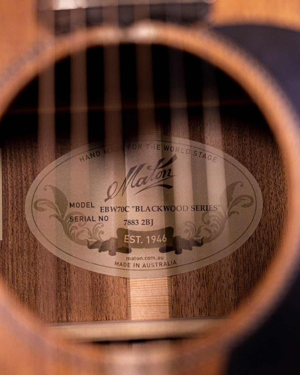 Maton EBW70C Blackwood Dreadnought Acoustic Electric Guitar