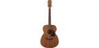 Ibanez PC12MH OPN Acoustic Guitar