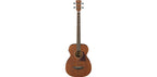 Ibanez PCBE12MH OPN Acoustic Bass