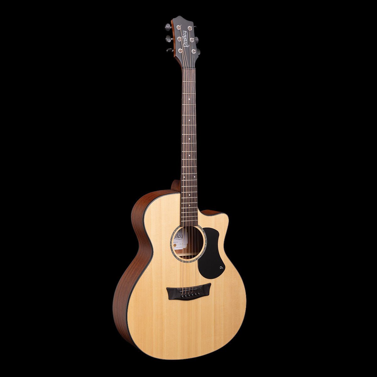 Pratley PRTGA-1CE Natural Matt - full front view