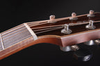 FURCH RED Gc-SR ANTHEM, GRAND AUDITORIUM CUTAWAY