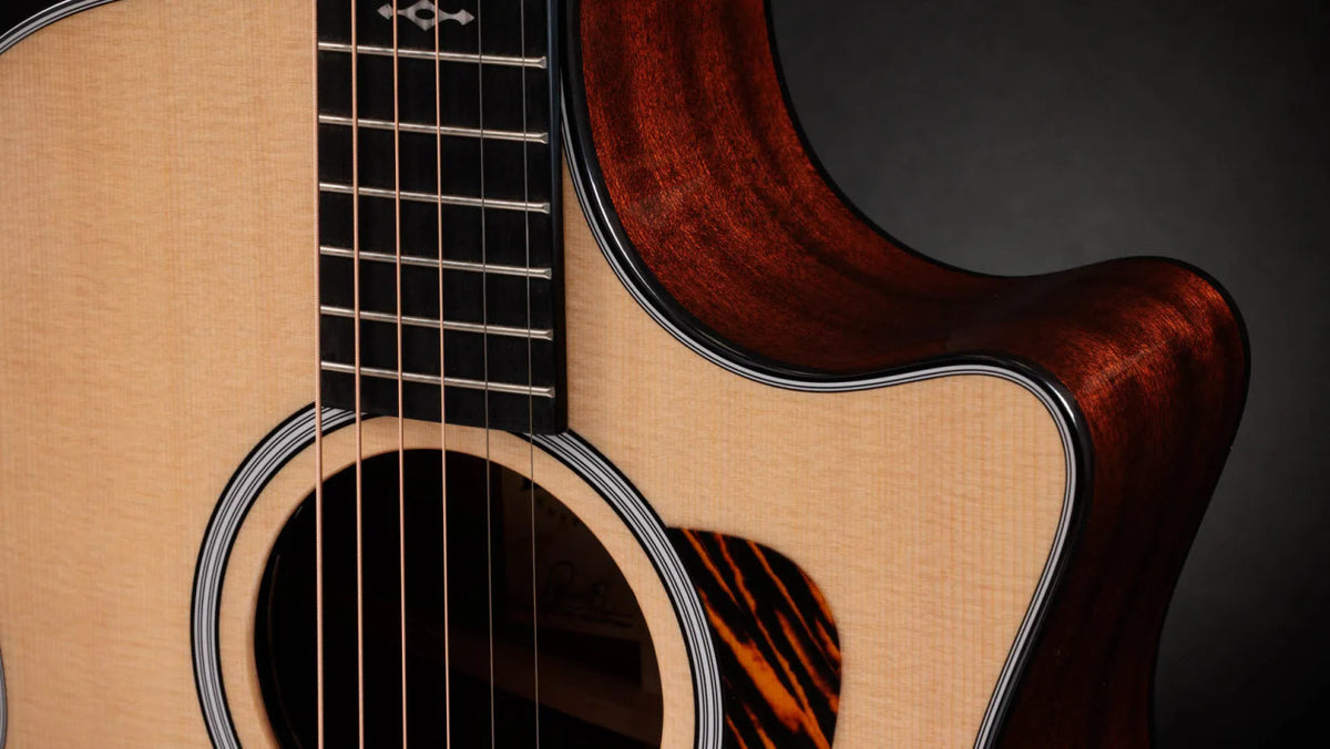 Taylor Next Generation 314ce Sapele Acoustic-Electric Guitar headstock back
