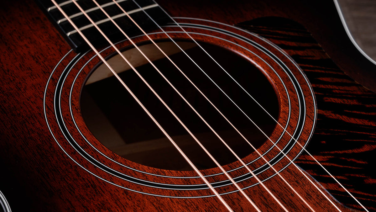 Black three-ring rosette and firestripe pickguard around the 322ce soundhole