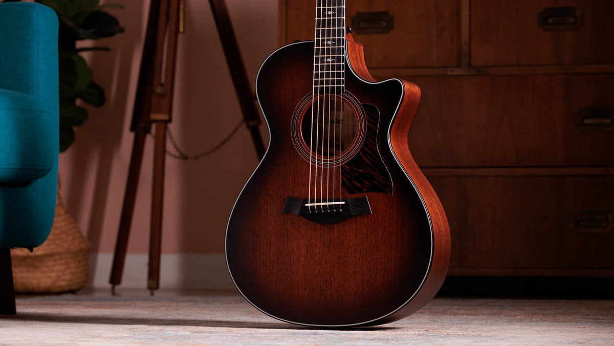 Taylor 322ce standing upright showing the full shaded edgeburst front