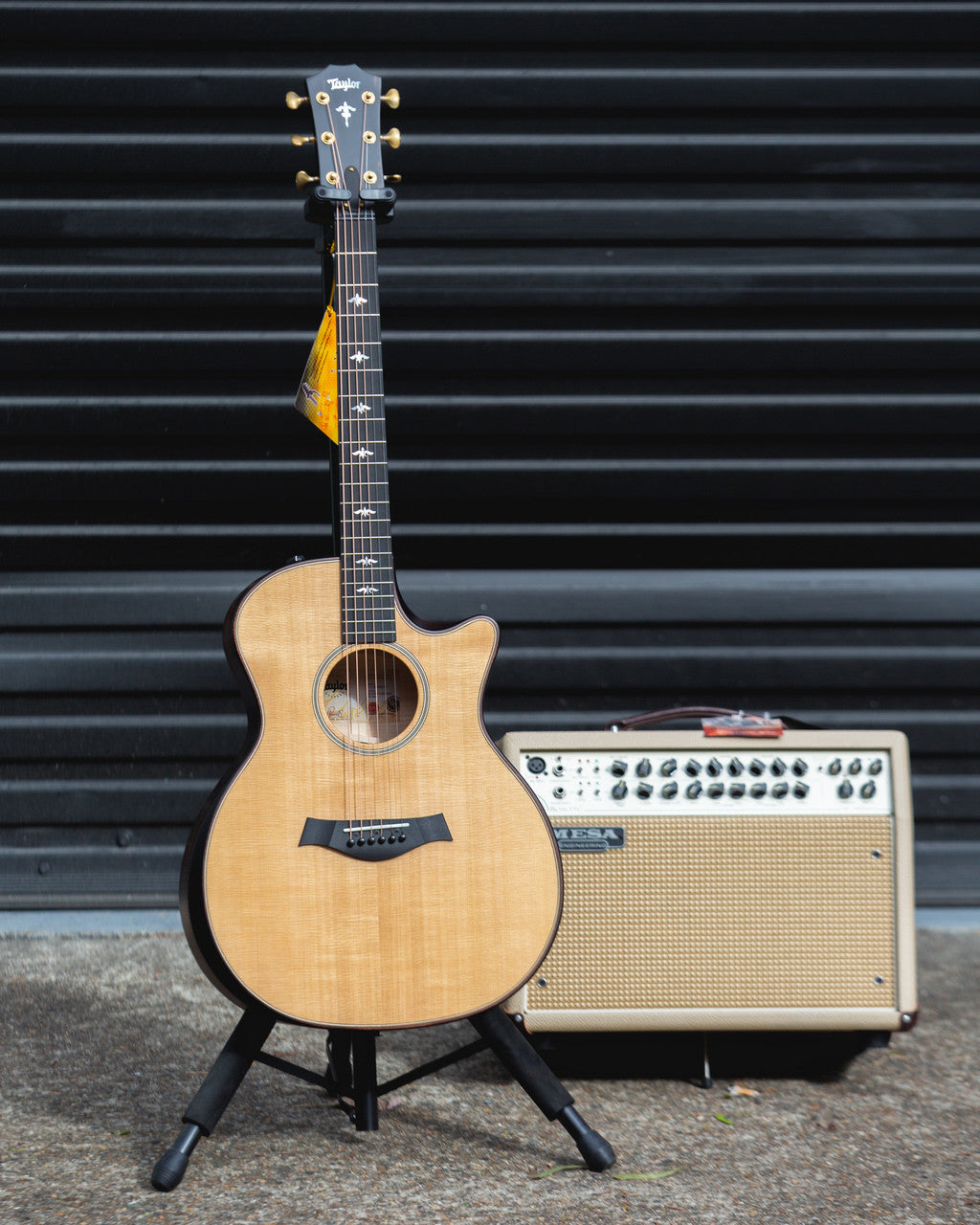Taylor 614ce Builder's Edition 2018 - Natural