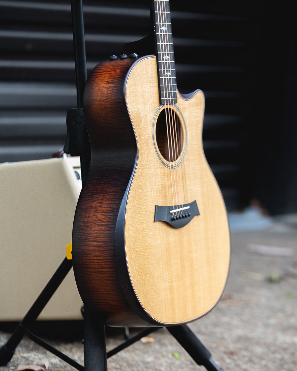 Taylor 614ce Builder's Edition 2018 - Natural