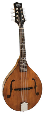 BARNES & MULLINS MANDOLIN - WIMBORNE MODEL ELECTRO