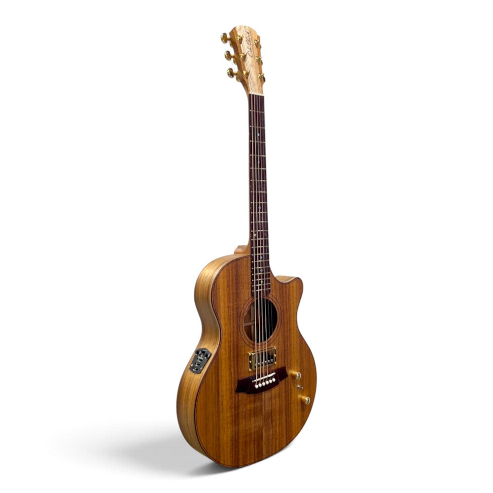 Cole Clark TL2EC-BLBLR-HUM All Blackwood Rosewood Thinline Humbucker Acoustic Guitar