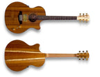Front and back of the Cole Clark TL2EC-BLBLR-HUM showing the solid blackwood top and back, Queensland maple neck and gold Grover tuners