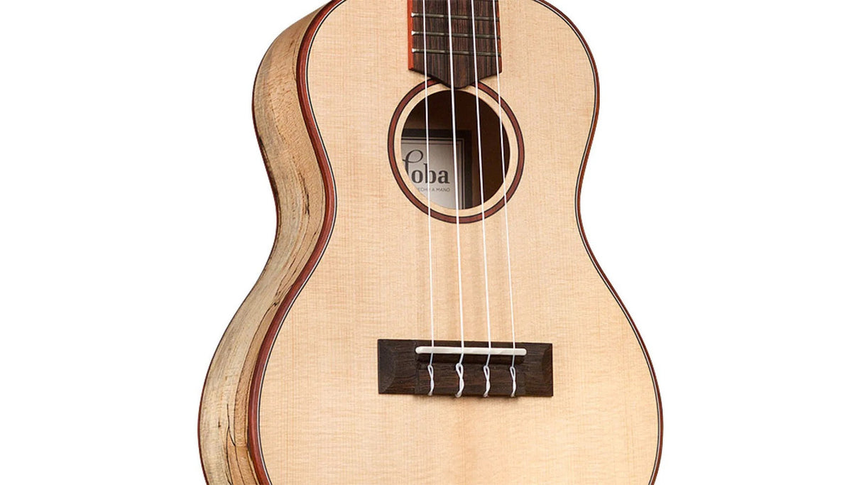 Cordoba 24C body close-up with spalted maple sides and padauk trim