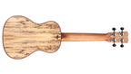 Cordoba 24C spalted maple back and mahogany neck, full rear view