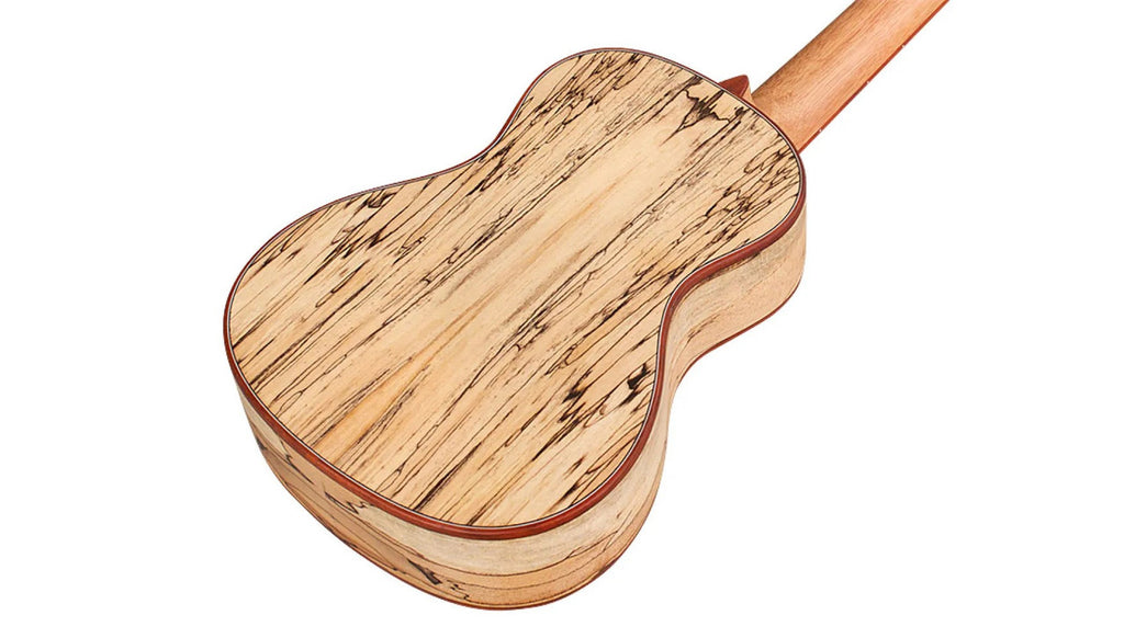 Cordoba 24C spalted maple back, three-quarter rear view