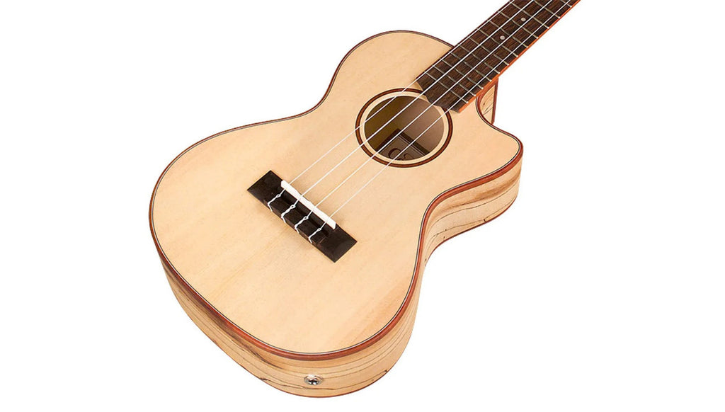 Cordoba 24T-CE three-quarter front view showing the cutaway and padauk rosette