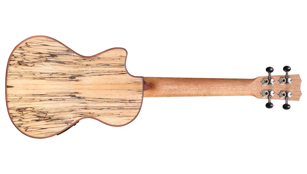Cordoba 24T-CE spalted maple back and mahogany neck, full rear view