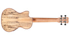 Cordoba 24T-CE spalted maple back and mahogany neck, full rear view