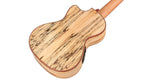 Cordoba 24T-CE spalted maple back, three-quarter rear view