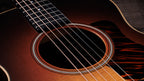 Three-ring rosette and firestripe pickguard around the soundhole