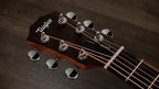 Headstock with Taylor logo and die-cast chrome tuners with chrome buttons