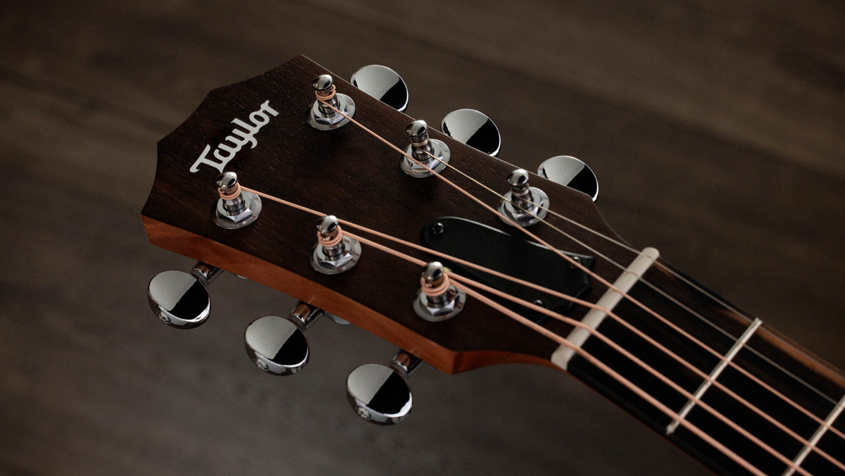 Headstock with Taylor logo and die-cast chrome tuners with chrome buttons