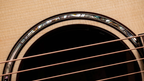 Next Generation Builder's Edition 814ce Indian Rosewood/Adirondack Spruce 2026